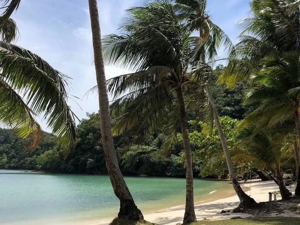 Phi Phi Leh: Overwater Villa Stay with Boat Transfers — longtail boat and island scenery near Ko Phi Phi Leh (photo 3)